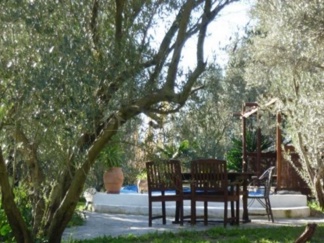 Casa rural en murtas - Imagen 10 