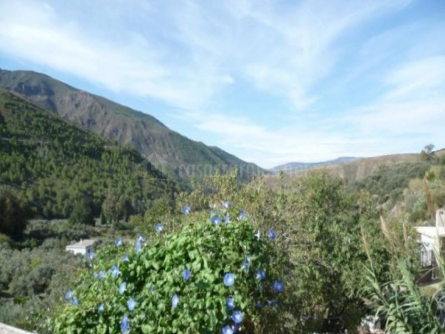 Casa rural en murtas - Imagen 8 