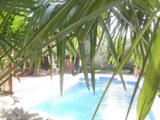 Casa rural en murtas - Imagen 15 