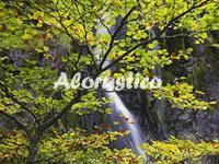 Casa rural PASADO A ASTURIAS-407.M2 en BUERES - LUCAS,  - AloRústico