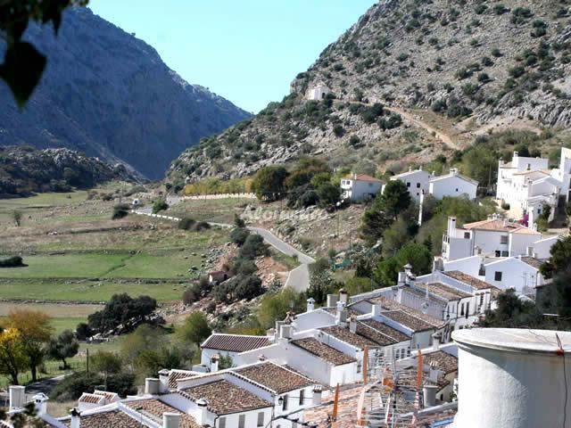 Casa rural CASA VICTORIA - LA VUELTA CHICA en VILLALUENGA DEL ROSARIO, CADIZ - AloRústico