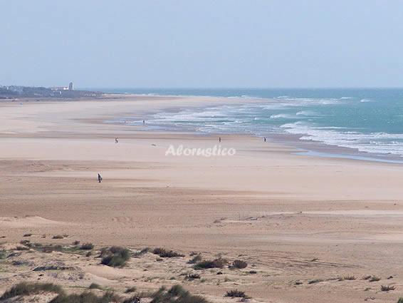 Casa rural APARTAMENTO P-1 en CONIL DE LA FRONTERA, CADIZ - AloRústico