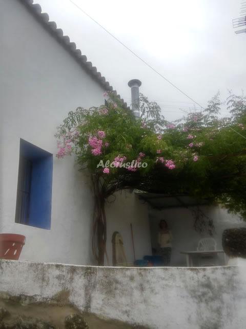Casa rural CASA DE LA FUENTE en BENAMAHOMA, CADIZ - AloRústico