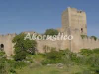 Casa rural COMPLEJO PEÑAFIEL - APARTAMENTO 4 PAX en ZARZA LA MAYOR, CACERES - AloRústico