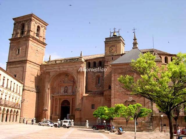 Casa rural LOS GALANES en VILLANUEVA DE LOS INFANTES, CIUDAD_REAL - AloRústico