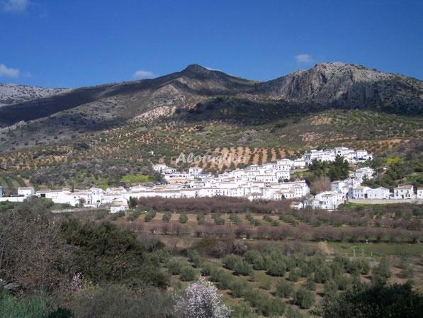 Casa rural CASA SIERRA ALCAIDE en ZAGRILLA ALTA (PRIEGO DE CORDOBA), CORDOBA - AloRústico