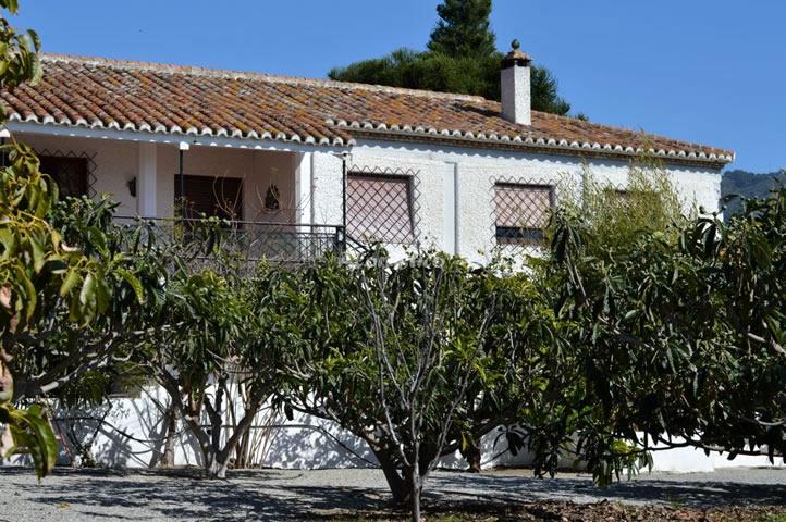 Casa rural CORTIJO ARAUCARIA en MOTRIL, GRANADA - AloRústico