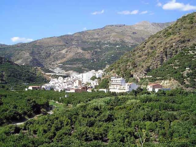 Casa rural LA LOZANA en JETE, GRANADA - AloRústico