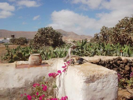 Casa rural CASA LAS PORTADAS C en LA OLIVA, ISLAS_CANARIAS - AloRústico