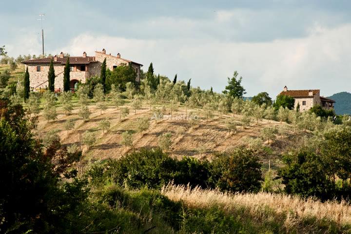 Casa rural PODERE CAMPAINI - NARCISO (PLANTA BAJA) en VOLTERRA, ITALIA - AloRústico