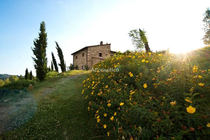Casa rural PODERE CAMPAINI - TULIPÁN (PLANTA BAJA) en VOLTERRA, ITALIA - AloRústico