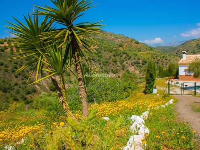 Casa rural LA ROSILLA en ALMOGÍA, MALAGA - AloRústico