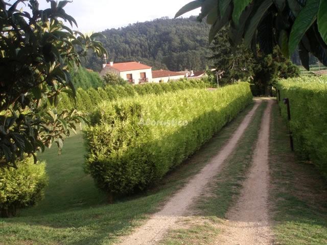 Casa rural HOTEL EIRADO DO PINO-HAB. MATRIMONIO VISTAS FINCA en SIMES-MEAÑO, PONTEVEDRA - AloRústico