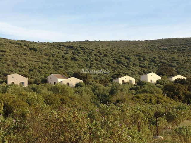 Casa rural CORTIJO LA CAÑADA - PASOS LARGOS en ESTEPA, SEVILLA - AloRústico