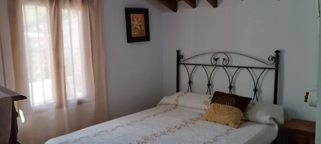 FINCA LA PALMA en EL BORGE — miniatura 16