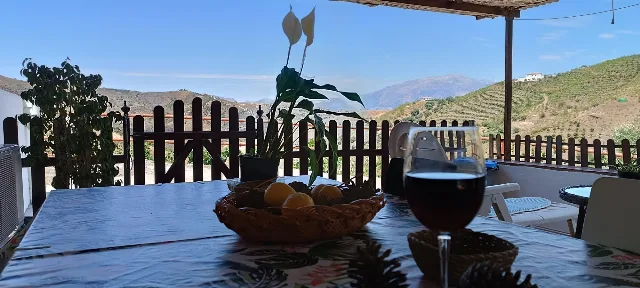 FINCA LA PALMA en EL BORGE — miniatura 8