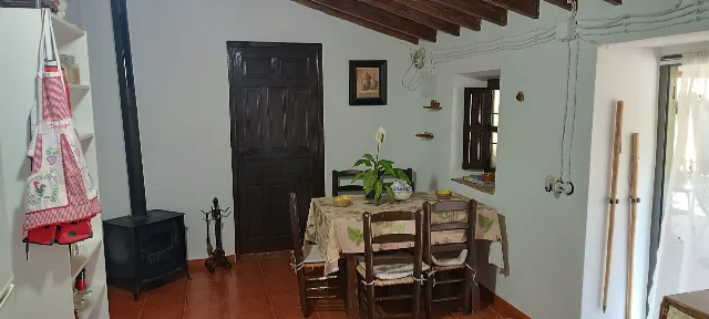 FINCA LA PALMA en EL BORGE — miniatura 11