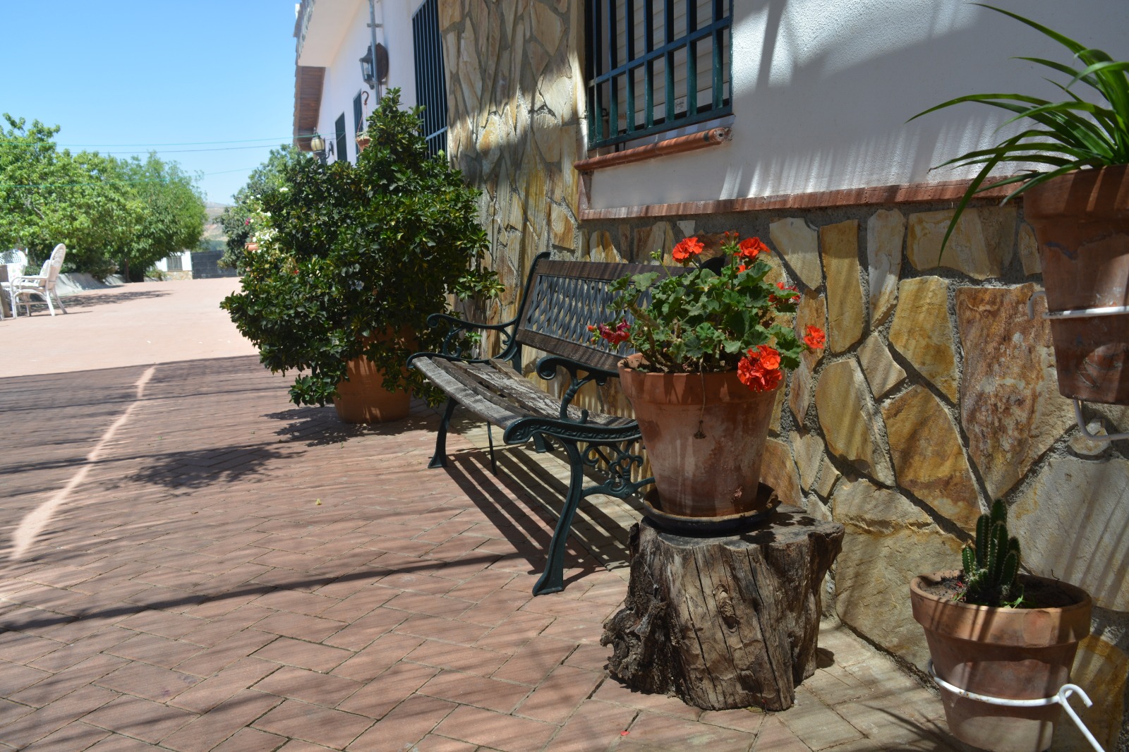 CORTIJO LA ESTAQUILLA en DURCAL — foto 3