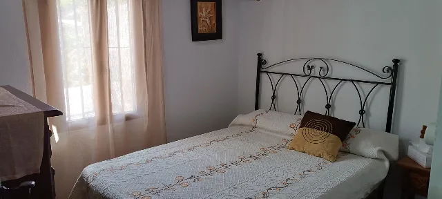 FINCA LA PALMA en EL BORGE — miniatura 14