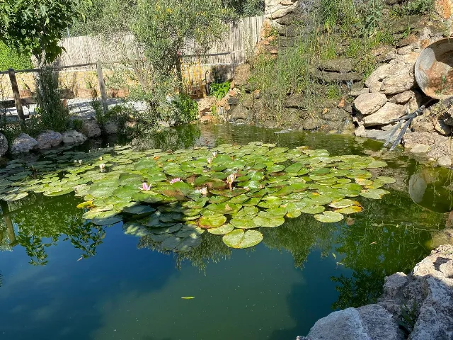 CORTIJO BUSTAMANTE en BAZA — miniatura 5