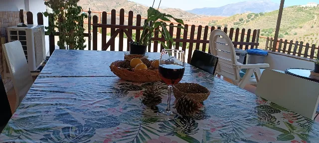 FINCA LA PALMA en EL BORGE — miniatura 9