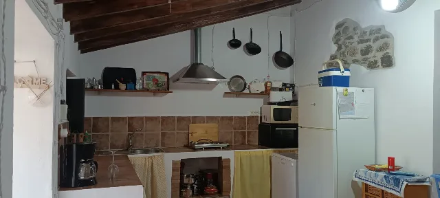 FINCA LA PALMA en EL BORGE — miniatura 15