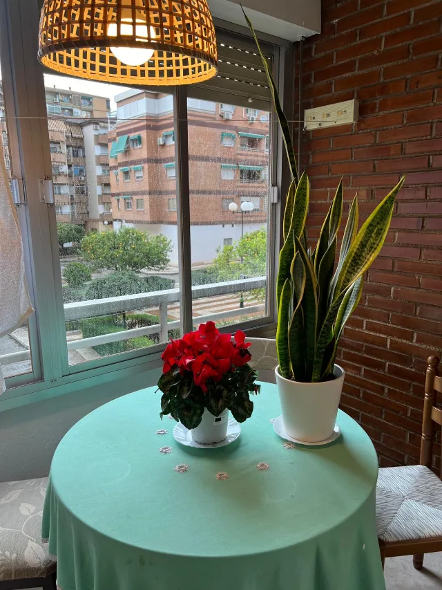 PISO GRANADA en GRANADA — miniatura 7