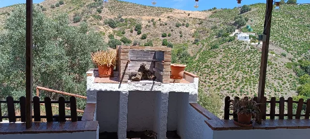FINCA LA PALMA en EL BORGE — miniatura 7