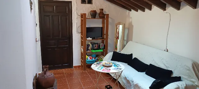FINCA LA PALMA en EL BORGE — miniatura 12