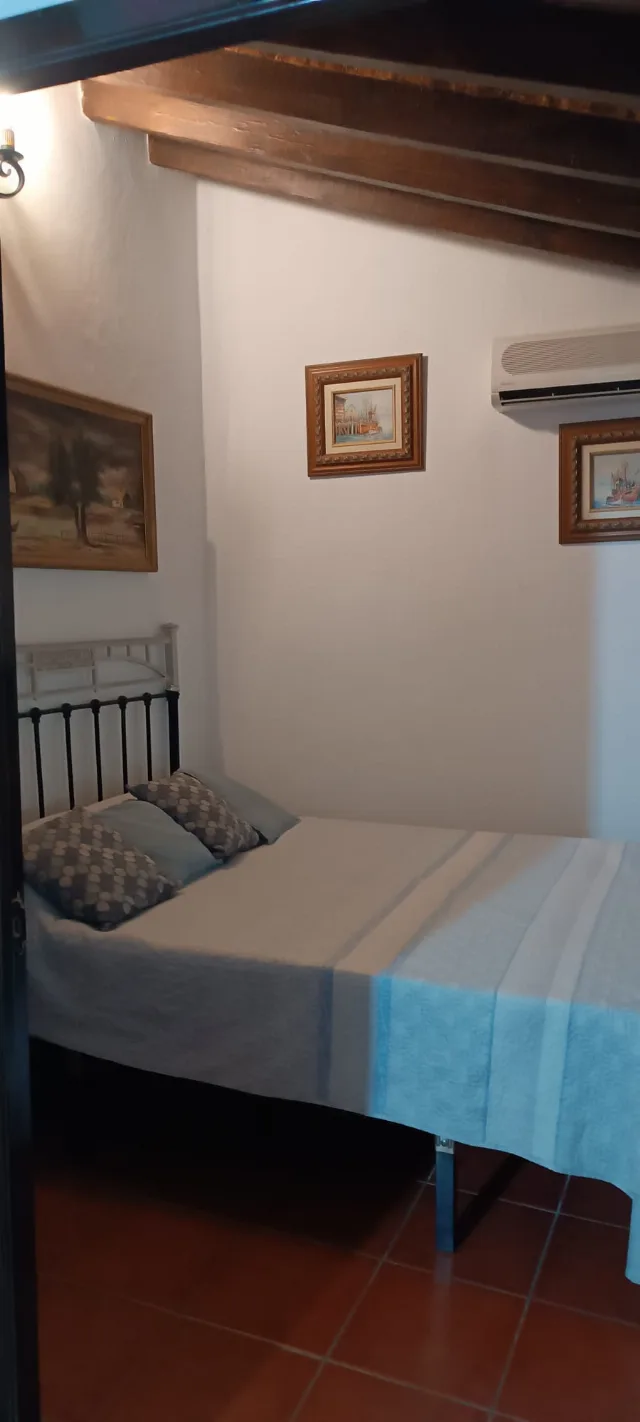 FINCA LA PALMA en EL BORGE — miniatura 10