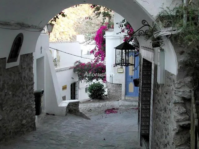 CORTIJO AZAHAR en ARBOLEAS — miniatura 7
