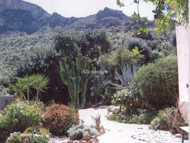 CASA EL NACIMIENTO en TURRE — miniatura 12