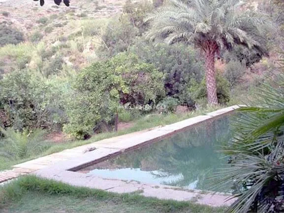 CASA EL NACIMIENTO- EL ESTUDIO en TURRE — miniatura 12