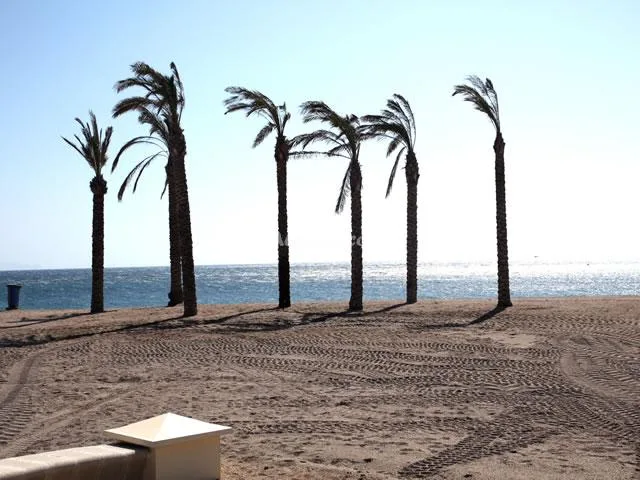 LAS SALINAS 4º K en ROQUETAS DE MAR — miniatura 7