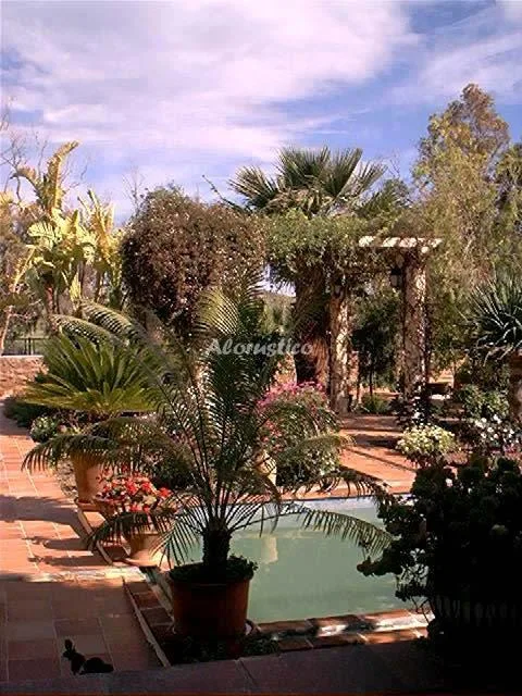 CASA LOS JARDINES en MOJÁCAR — miniatura 9