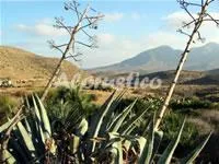 CASAS LOLI ACACIA. LA NORIA-1 en EL POZO DE LOS FRAILES — miniatura 6