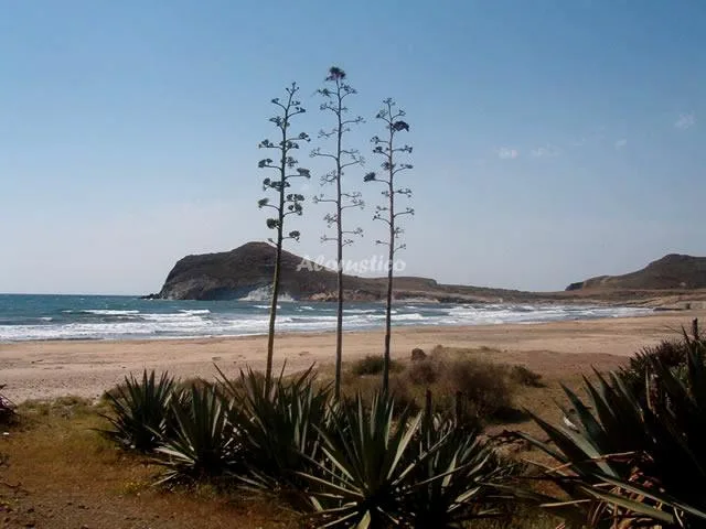CASAS LOLI ACACIA. LA NORIA 2 en EL POZO DE LOS FRAILES — miniatura 5