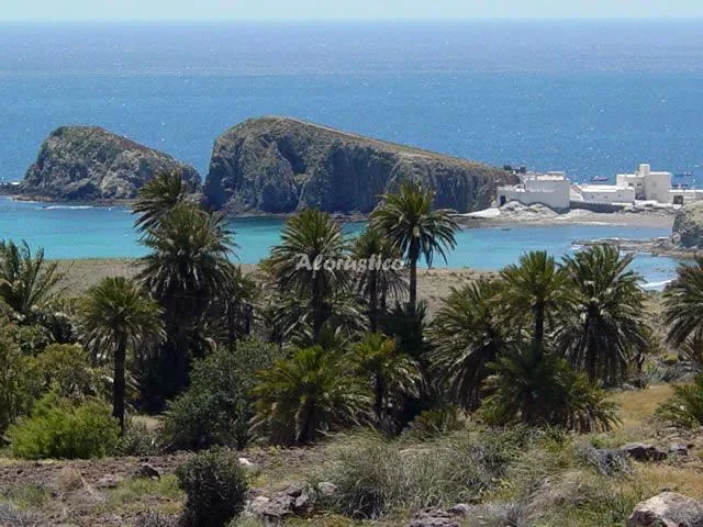 ATICO ISLETA DEL MORO en LA ISLETA DEL MORO — miniatura 6