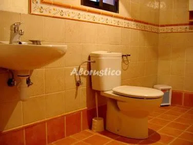 EL DESCANSO DEL ANDANTE - GITANILLA en OSSA DE MONTIEL — miniatura 9