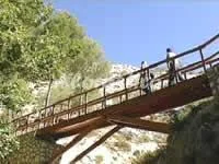 CASA BONS AIRES en ALCOY-LORENA — miniatura 10