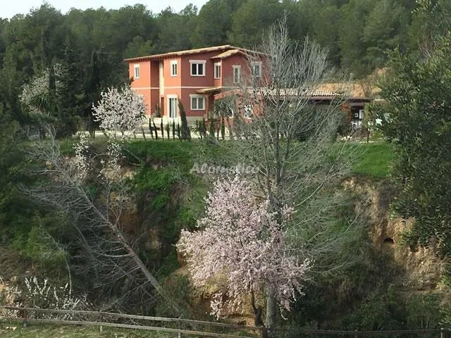CASA MADRID (PLANTA BAJA) en FINESTRAT — miniatura 23