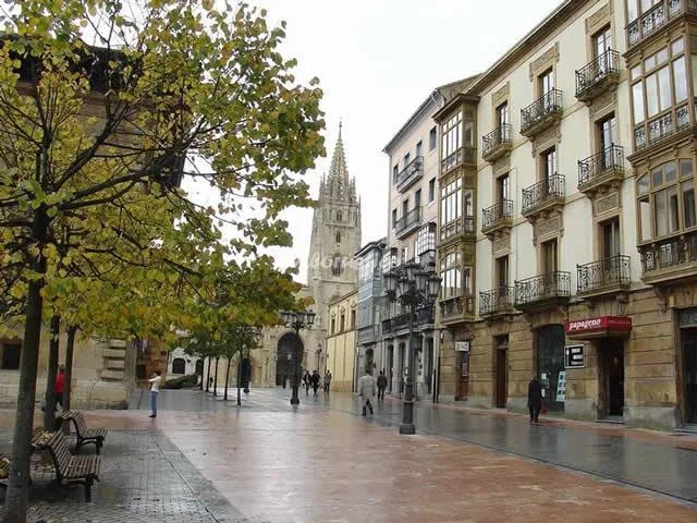 ÁTICO OVIEDO en OVIEDO — miniatura 5