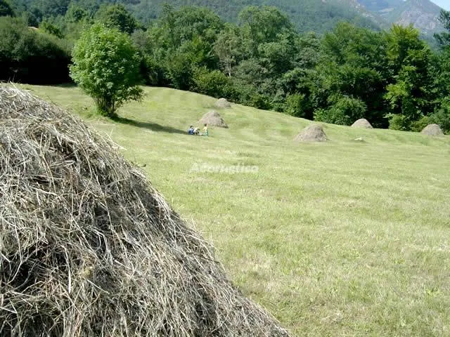 VALLE DE BUEIDA  EL GRILLO en QUIROS — miniatura 18