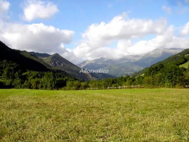 Alojamiento turístico VALLE DE BUEIDA   EL BOSQUE en QUIROS · ASTURIAS