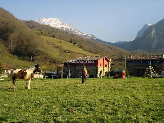 VALLE DE BUEIDA   EL PALACIO en QUIROS — miniatura 13