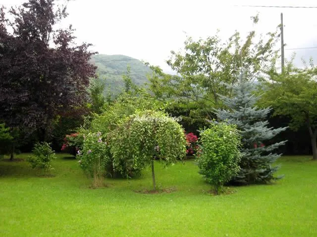 FINCA LAS MIMOSAS en BUEÑO — miniatura 5