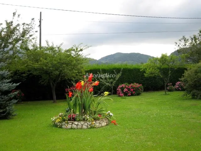 FINCA LAS MIMOSAS en BUEÑO — miniatura 19