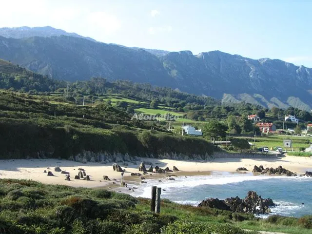 APTOS EL REQUEXU - Nº 1 (PLANTA BAJA) en LLANES — miniatura 4