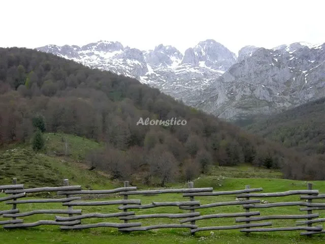 LA REGORIA - APTO 1 - PLANTA BAJA en CABRALES — miniatura 6