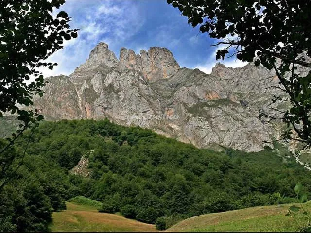 LA REGORIA - APTO 1 - PLANTA BAJA en CABRALES — miniatura 5